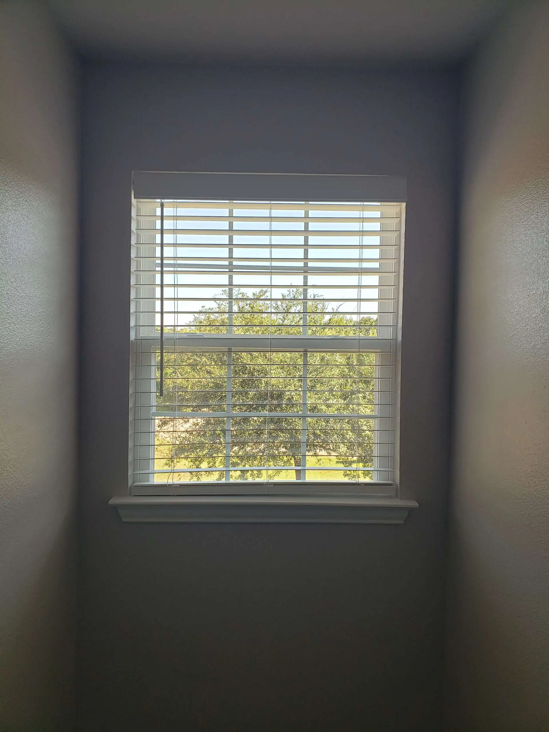 A window adorned with sleek white blinds is set in a plain wall, perfectly framing a sunny outdoor scene where a large tree and lush grass are visible through the glass.