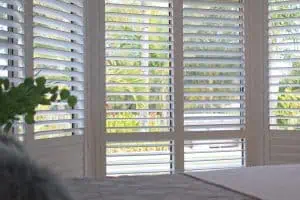 A bright room with white plantation shutters partially closed on large windows, allowing a view of lush green palm trees and a sunny exterior. The corner of a wooden table with some green foliage is visible in the foreground, showcasing the quality of Plantation Shutters Tarrant County offers.
