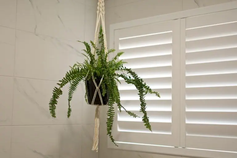 A potted fern hangs from a macrame plant hanger in front of a white window with horizontal blinds, showcasing professional Blinds Installation Tarrant County. The background features white, marble-patterned tiles.