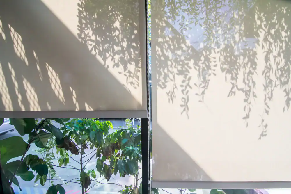 Sunlight filters through leafy plants outside a window, casting intricate shadows on two cream-colored roller blinds, creating a natural, patterned effect indoors.